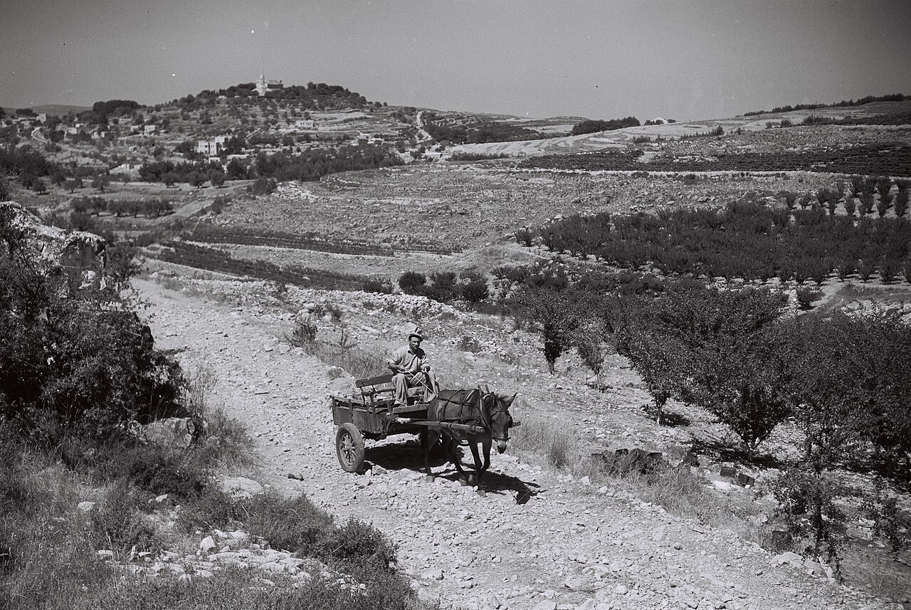 הכביש המוביל למעלה החמישה, 1945 Zoltan Kluger, Public domain, via Wikimedia Commons