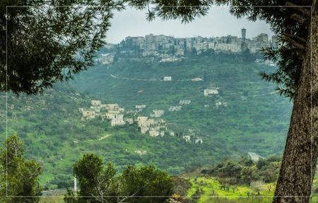 ליפתא. צילום: Canva